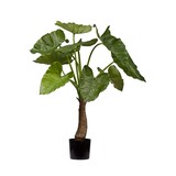 Greenmoods Kunstig Alocasia Calidora 80cm Greenmoods Kunstig Alocasia Calidora 80cm