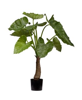 Greenmoods Kunstig Alocasia Calidora 80cm Greenmoods Kunstig Alocasia Calidora 80cm