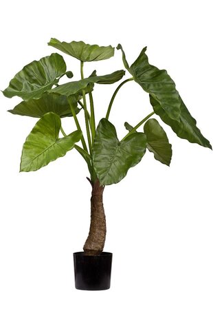 Greenmoods Kunstig Alocasia Calidora 80cm