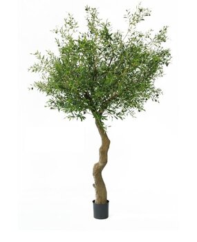 Greenmoods Kunstig Oliventre Gigant m/Oliven 270cm