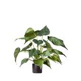 Greenmoods Kunstig Alocasia i Potte 51cm Greenmoods Kunstig Alocasia i Potte 51cm