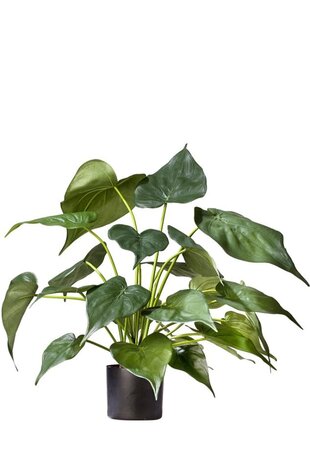Greenmoods Kunstig Alocasia i Potte 51cm