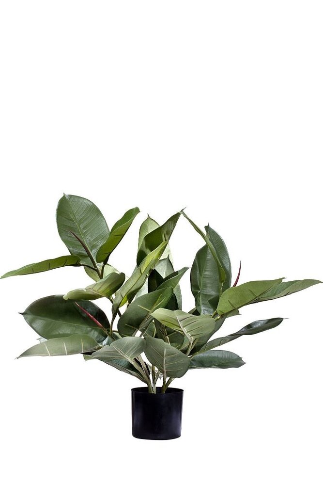 Greenmoods Kunstig Fikus Gummiplante i Potte 51cm