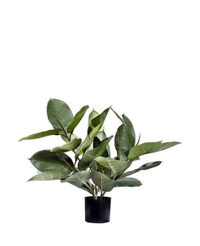 Greenmoods Kunstig Fikus Gummiplante i Potte 51cm Greenmoods Kunstig Fikus Gummiplante i Potte 51cm