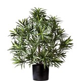 Greenmoods Kunstig Podocarpus i Potte 47cm Greenmoods Kunstig Podocarpus i Potte 47cm