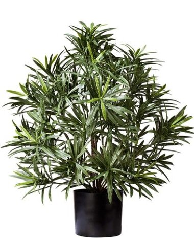 Greenmoods Kunstig Podocarpus i Potte 47cm