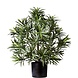 Greenmoods Kunstig Podocarpus i Potte 47cm