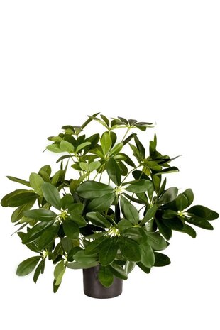 Greenmoods Kunstig Baby Schefflera i Potte 45cm