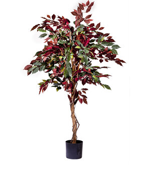 Greenmoods Kunstig Fat Fikus Burgunder 150 cm Greenmoods Kunstig Fat Fikus Burgunder 150 cm