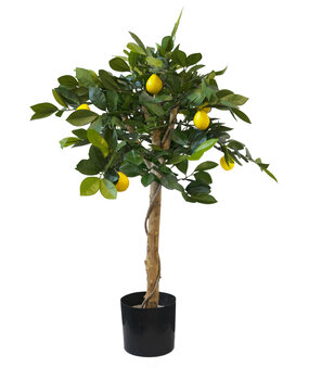 Greenmoods Kunstig Sitrontre 75cm Greenmoods Kunstig Sitrontre 75cm