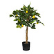 Greenmoods Kunstig Sitrontre 75cm