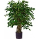 Greenmoods Kunstig Fikus Liana 90cm
