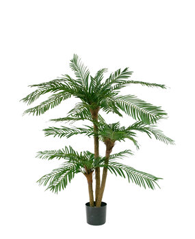 Greenmoods Kunstig Cycas Palme Tre 135cm Greenmoods Kunstig Cycas Palme Tre 135cm
