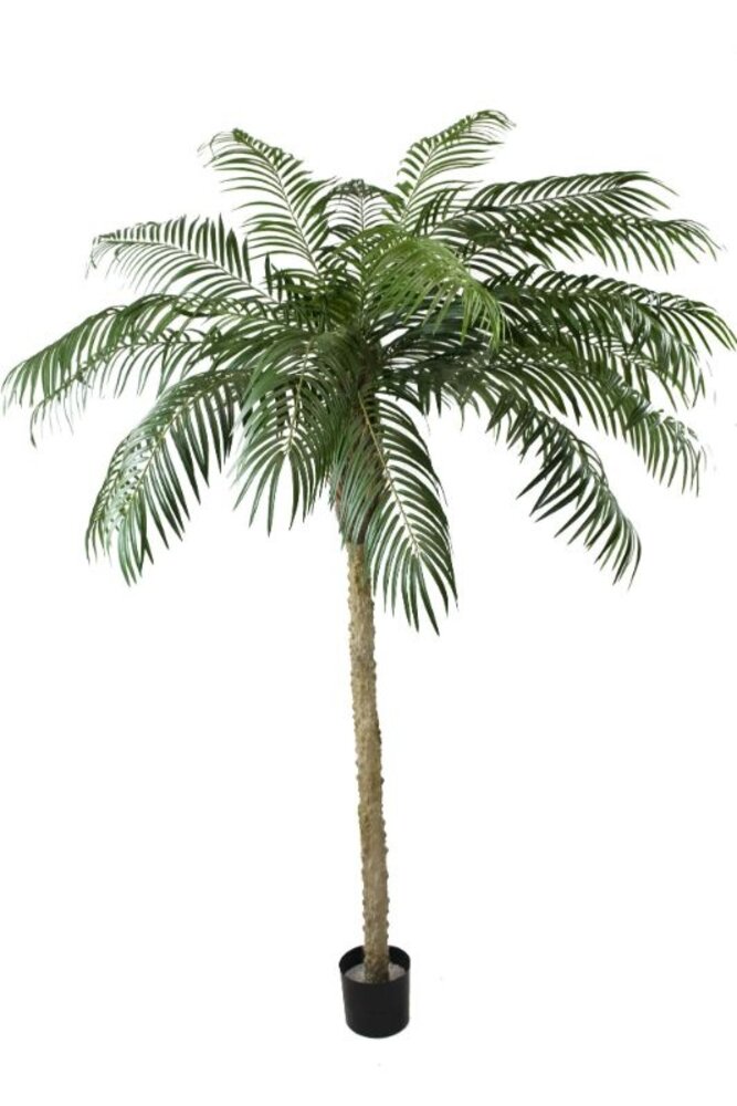Greenmoods Kunstig Phoenix Palme De Luxe 250cm