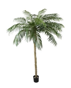 Greenmoods Kunstig Phoenix Palme De Luxe 250cm Greenmoods Kunstig Phoenix Palme De Luxe 250cm