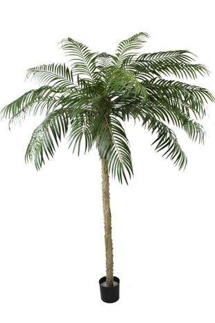 Greenmoods Kunstig Phoenix Palme De Luxe 250cm