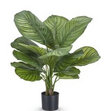 Greenmoods Kunstig Calathea Fasciata 53cm Greenmoods Kunstig Calathea Fasciata 53cm