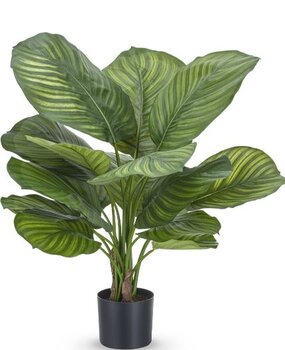 Greenmoods Kunstig Calathea Fasciata 53cm Greenmoods Kunstig Calathea Fasciata 53cm