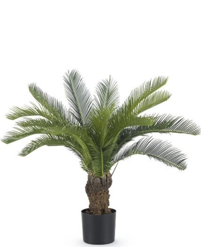 Greenmoods Kunstig Baby Cycas Palme UV 80cm