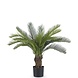 Greenmoods Kunstig Baby Cycas Palme UV 80cm