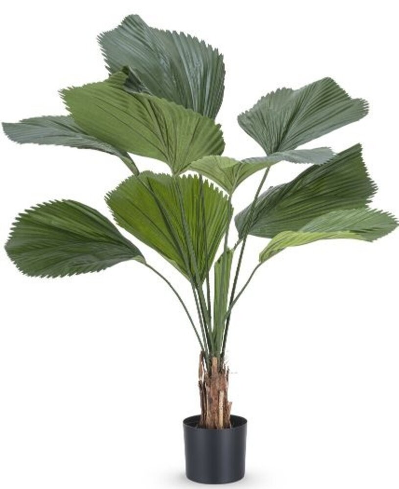 Greenmoods Kunstig  Lucuala Grandis plante 120 cm