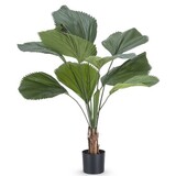 Greenmoods Kunstig Lucuala Grandis plante 120 cm Greenmoods Kunstig Lucuala Grandis plante 120 cm