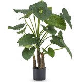 Greenmoods Kunstig Alocasia Calidora 120cm Greenmoods Kunstig Alocasia Calidora 120cm