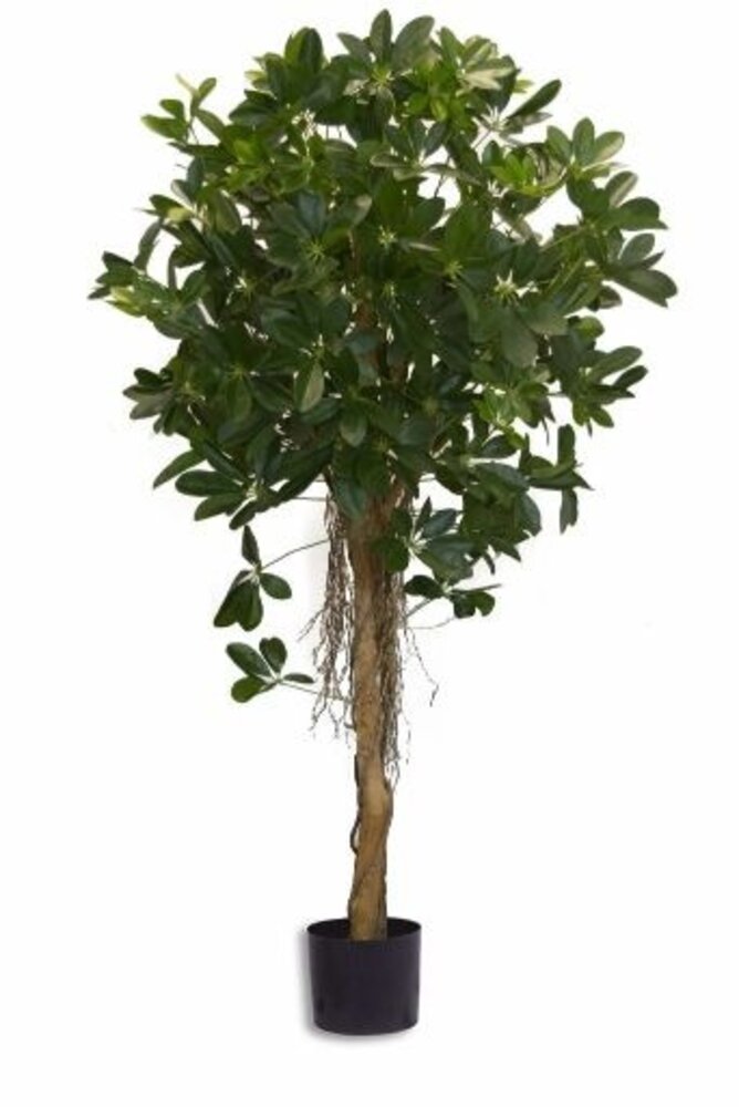 Greenmoods Kunstig Baby Schefflera 150cm