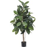 Greenmoods Kunstig Fikus "Gummiplante" 150cm Greenmoods Kunstig Fikus "Gummiplante" 150cm