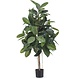 Greenmoods Kunstig Fikus "Gummiplante" 150cm