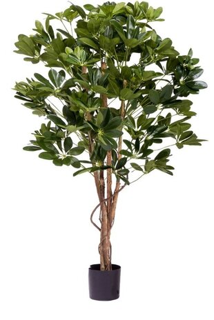 Greenmoods Kunstig Schefflera 120cm