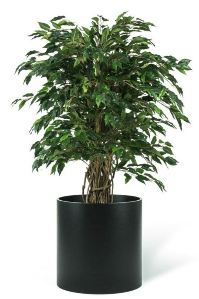 Greenmoods Kunstig Fikus Liana 120cm