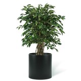 Greenmoods Kunstig Fikus Liana 120cm Greenmoods Kunstig Fikus Liana 120cm