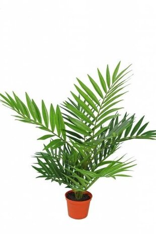 Greenmoods Kunstig Palmeplante 60cm