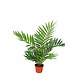 Greenmoods Kunstig Palmeplante 60cm