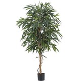 Greenmoods Kunstig Longifoloia Royal 180cm Greenmoods Kunstig Longifoloia Royal 180cm