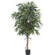 Greenmoods Kunstig Longifoloia Royal 180cm