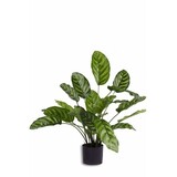 Greenmoods Kunstig Calathea Makoyana 60cm Greenmoods Kunstig Calathea Makoyana 60cm