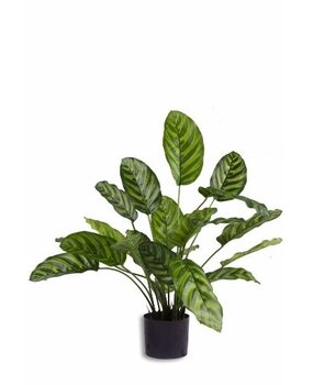 Greenmoods Kunstig Calathea Makoyana 60cm Greenmoods Kunstig Calathea Makoyana 60cm