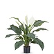 Greenmoods Kunstig Fredslilje Spathiphyllum 85cm
