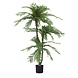 Greenmoods Kunstig Cycas Palme Tre 165cm