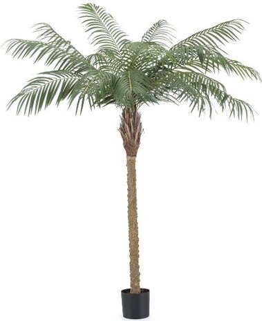 Greenmoods Kunstig Phoenix Palme De Luxe 180cm