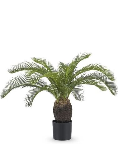 Greenmoods Kunstig Baby Cycas Palme UV 60cm