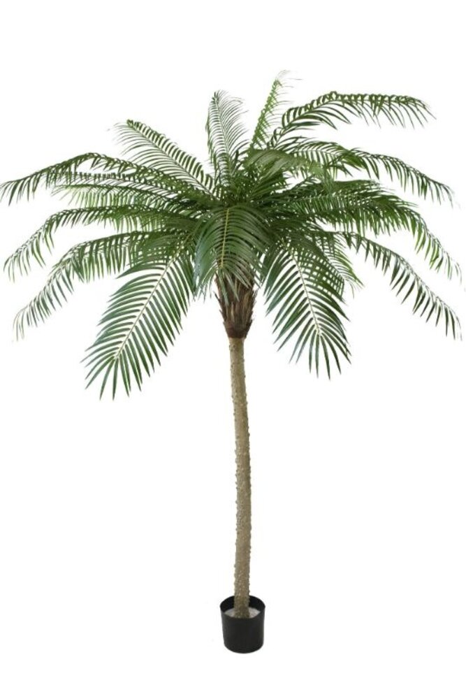 Greenmoods Kunstig Phoenix Palme De Luxe 210cm