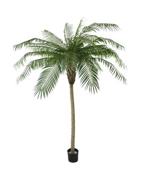 Greenmoods Kunstig Phoenix Palme De Luxe 210cm Greenmoods Kunstig Phoenix Palme De Luxe 210cm