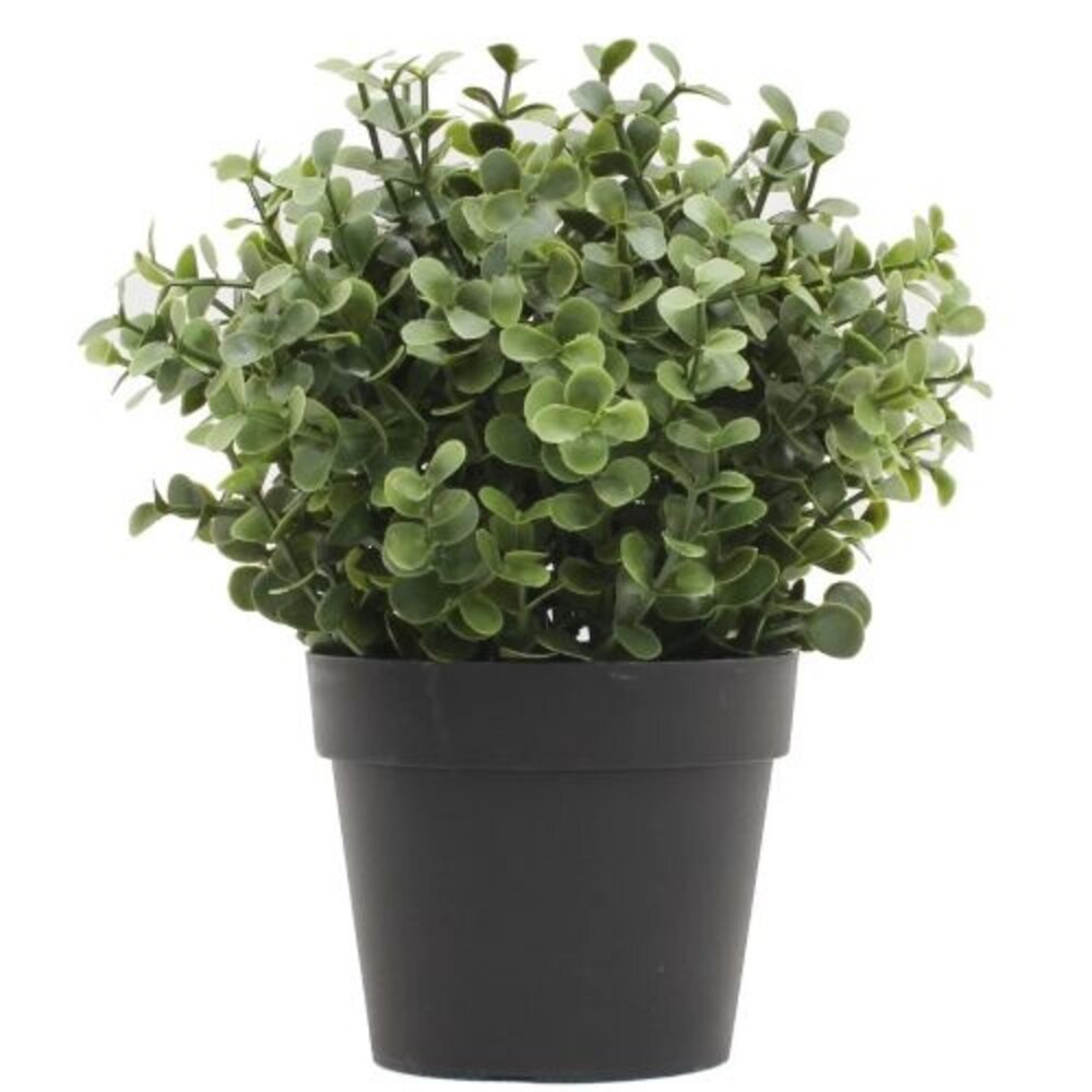Greenmoods Kunstig Mini Buksbom i Potte UV 19cm