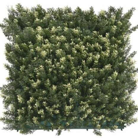 Greenmoods Kunstig Tuja Plantevegg 50x50cm UV