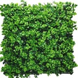Greenmoods Kunstig Buksbom Vinterglans Plantevegg UV 50x50cm Greenmoods Kunstig Buksbom Vinterglans Plantevegg UV 50x50cm