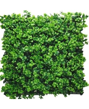 Greenmoods Kunstig Buksbom Vinterglans Plantevegg UV 50x50cm Greenmoods Kunstig Buksbom Vinterglans Plantevegg UV 50x50cm