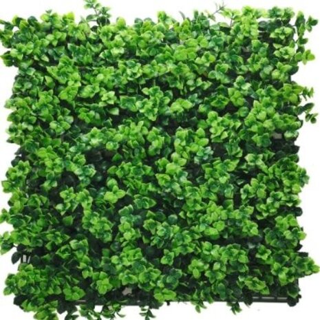 Greenmoods Kunstig Buksbom Vinterglans Plantevegg UV 50x50cm